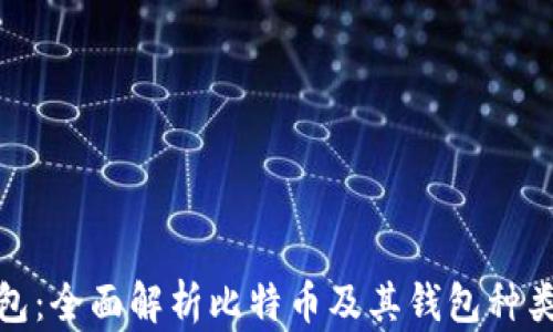 
数字货币钱包：全面解析比特币及其钱包种类与使用技巧