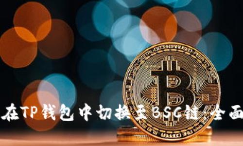 如何在TP钱包中切换至BSC链：全面指南