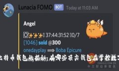 最大比特币钱包的揭秘：有哪些顶尖钱包在掌控