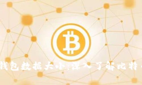 11年比特币钱包数据大小：深入了解比特币存储与管理