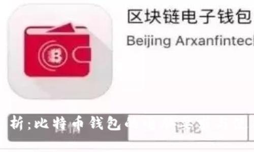 全面解析：比特币钱包的电脑要求与使用指南