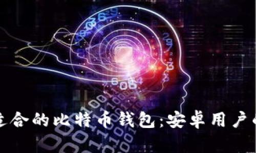 如何选择适合的比特币钱包：安卓用户的全面指南