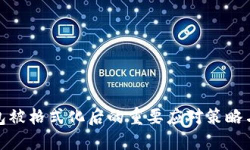 比特币钱包被格式化后的重要应对策略与预防措施