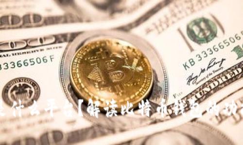 比特币钱包是什么平台？解读比特币钱包的功能与选择指南