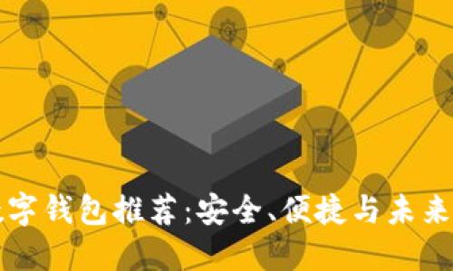 全球十大数字钱包推荐：安全、便捷与未来的支付方式